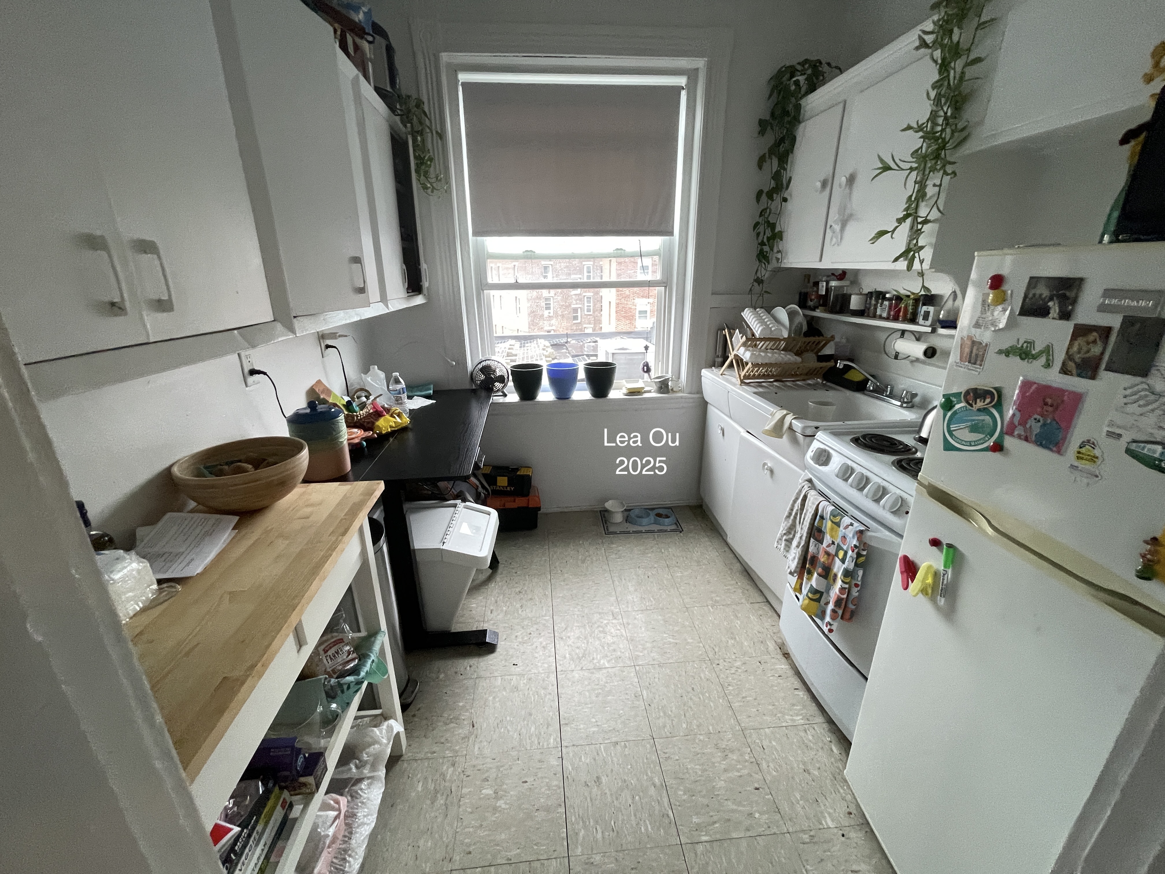 1350 Commonwealth Ave, Allston