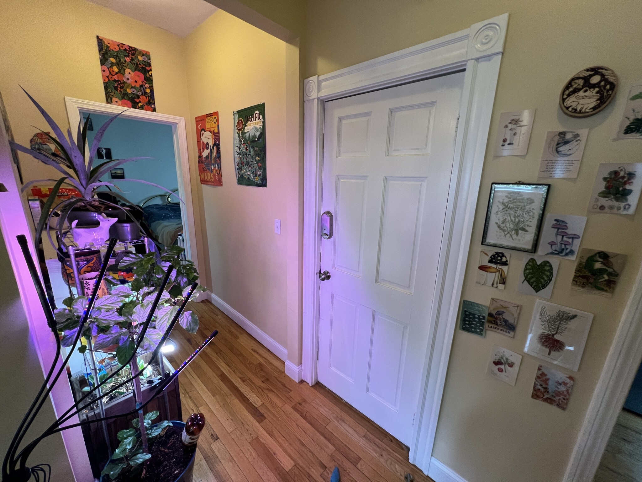 1 Victoria St, West Somerville