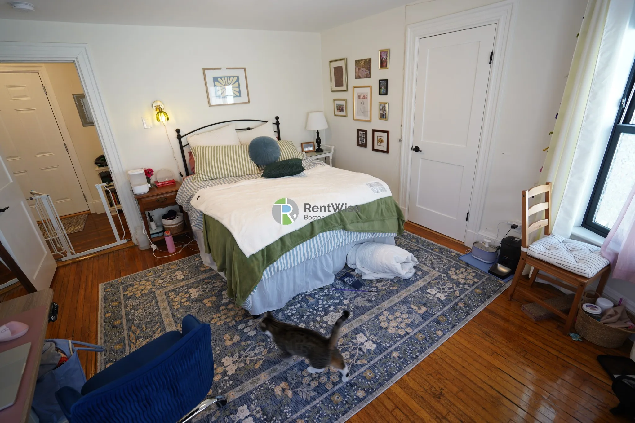 66 Chester St, Allston