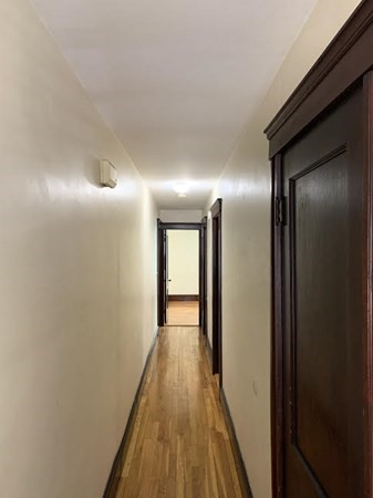 37 Grant Ave, Waverley