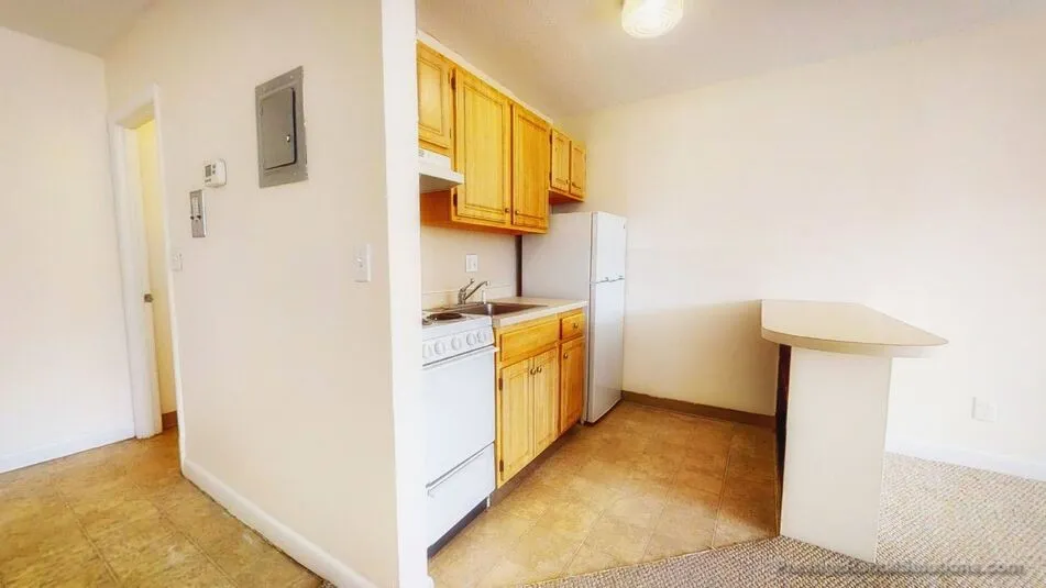 66 Homer Ave, West Cambridge