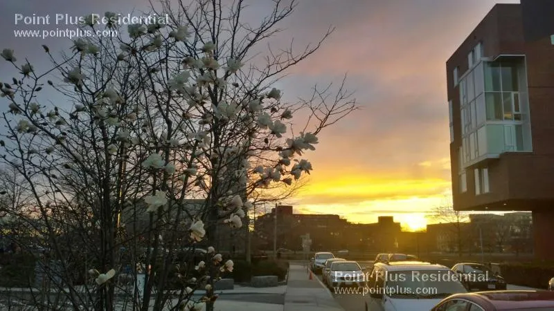 26 Hingham St, Riverside