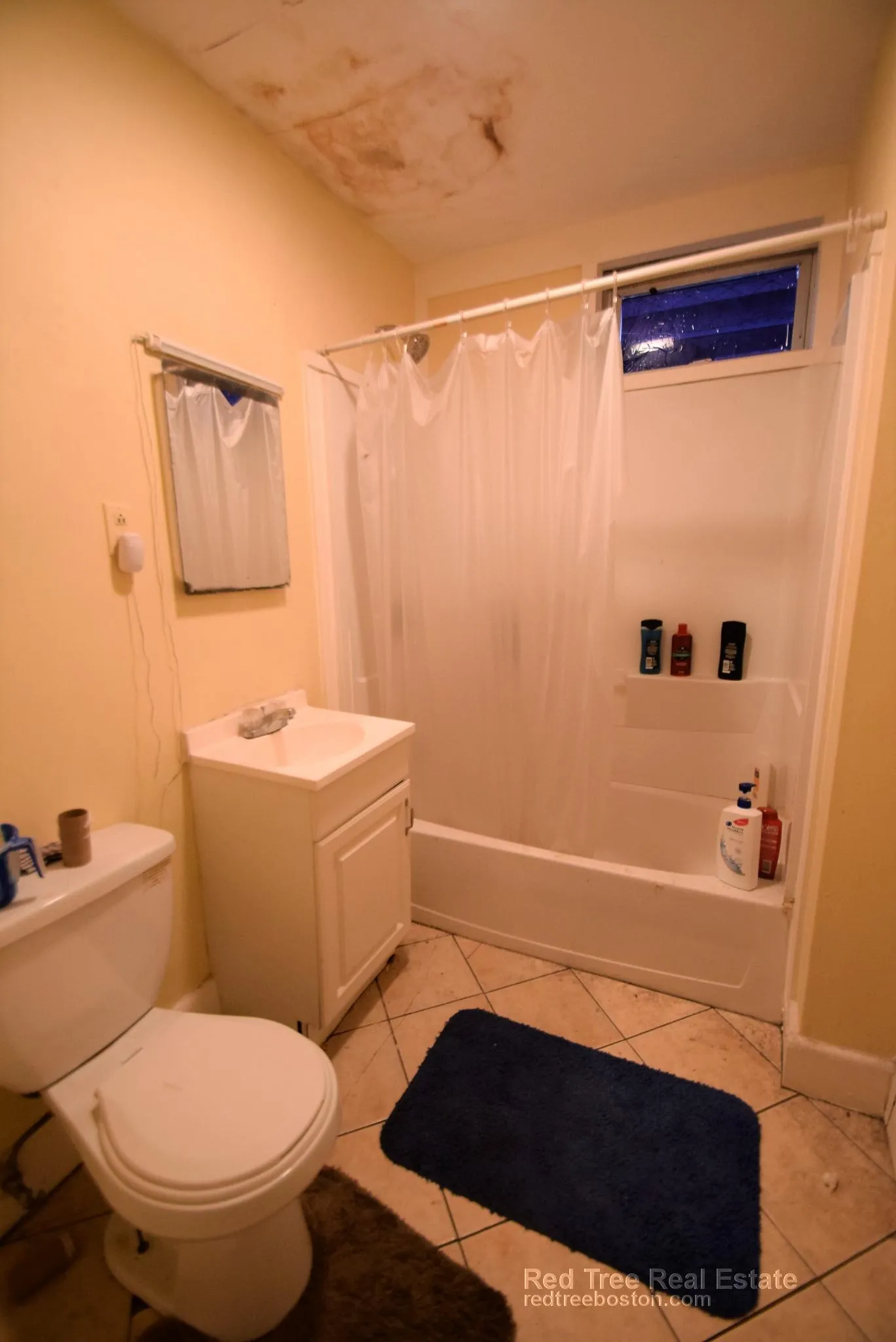 36 Cherokee St, Mission Hill