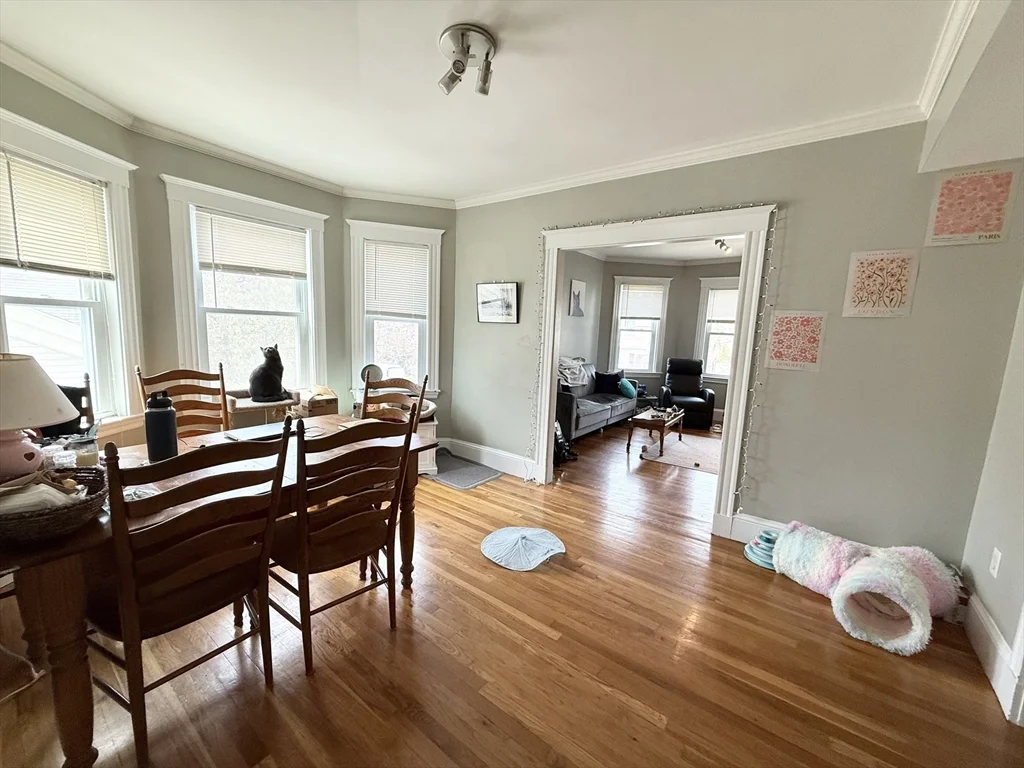 81 Florence St, Jamaica Plain