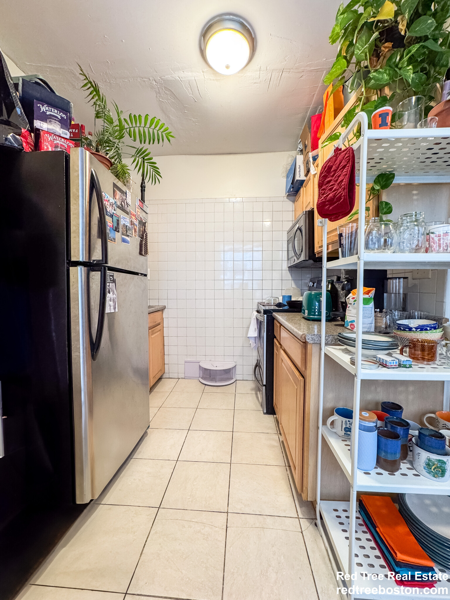 244 Kelton St, Brighton