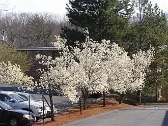 67 Milliken, Franklin