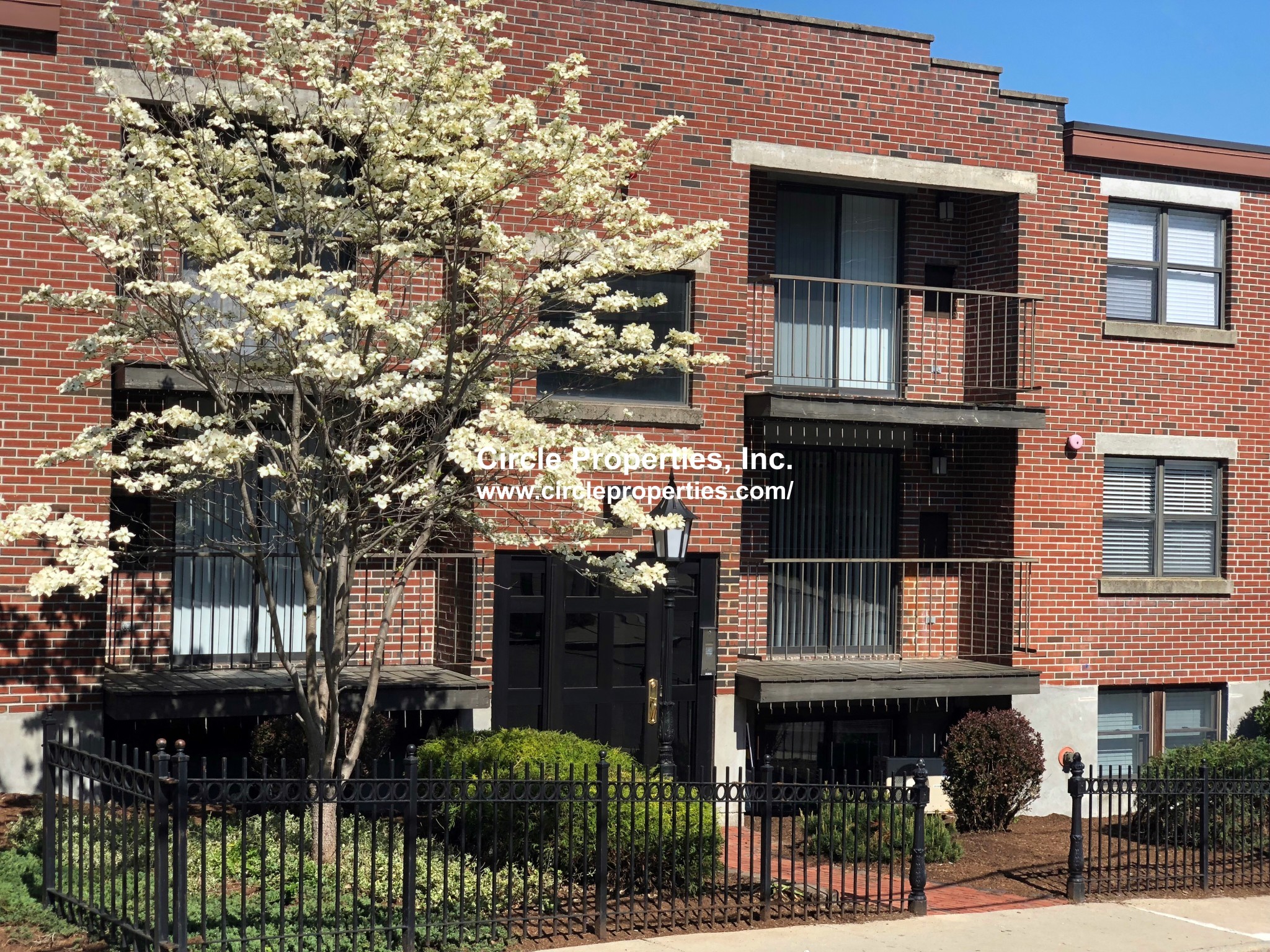 3 Darling St, Mission Hill