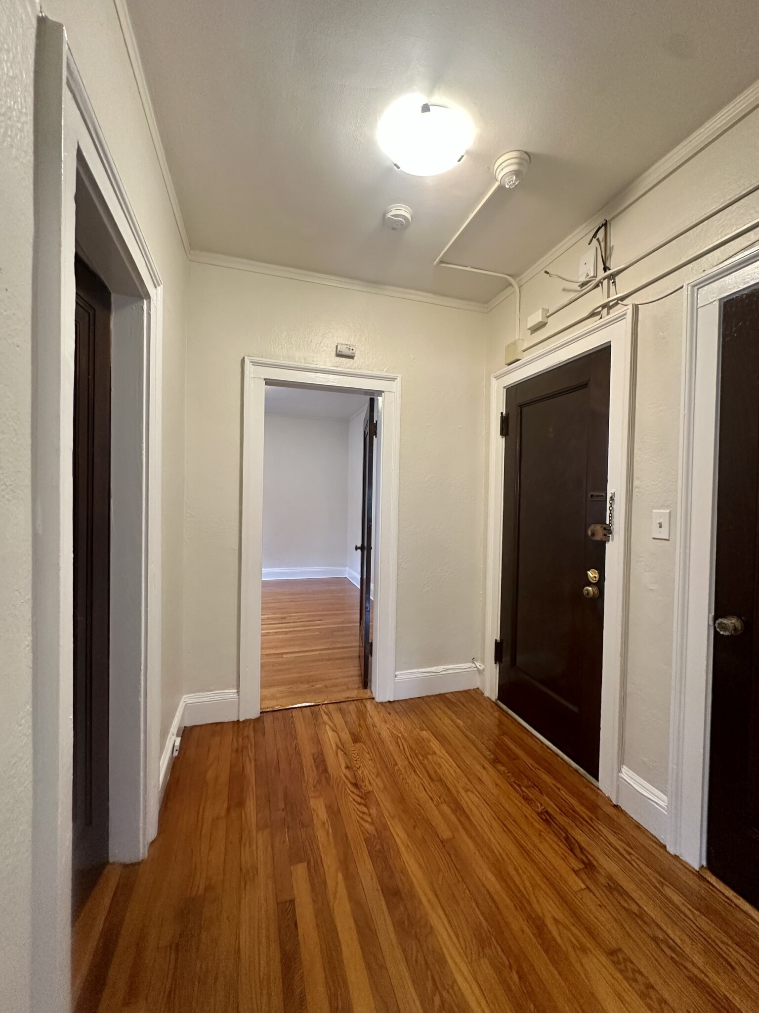 89 Strathmore Rd, Brighton