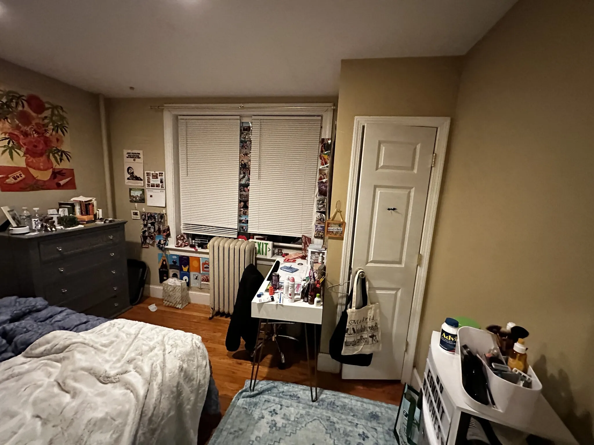 60 Egmont St, North Brookline