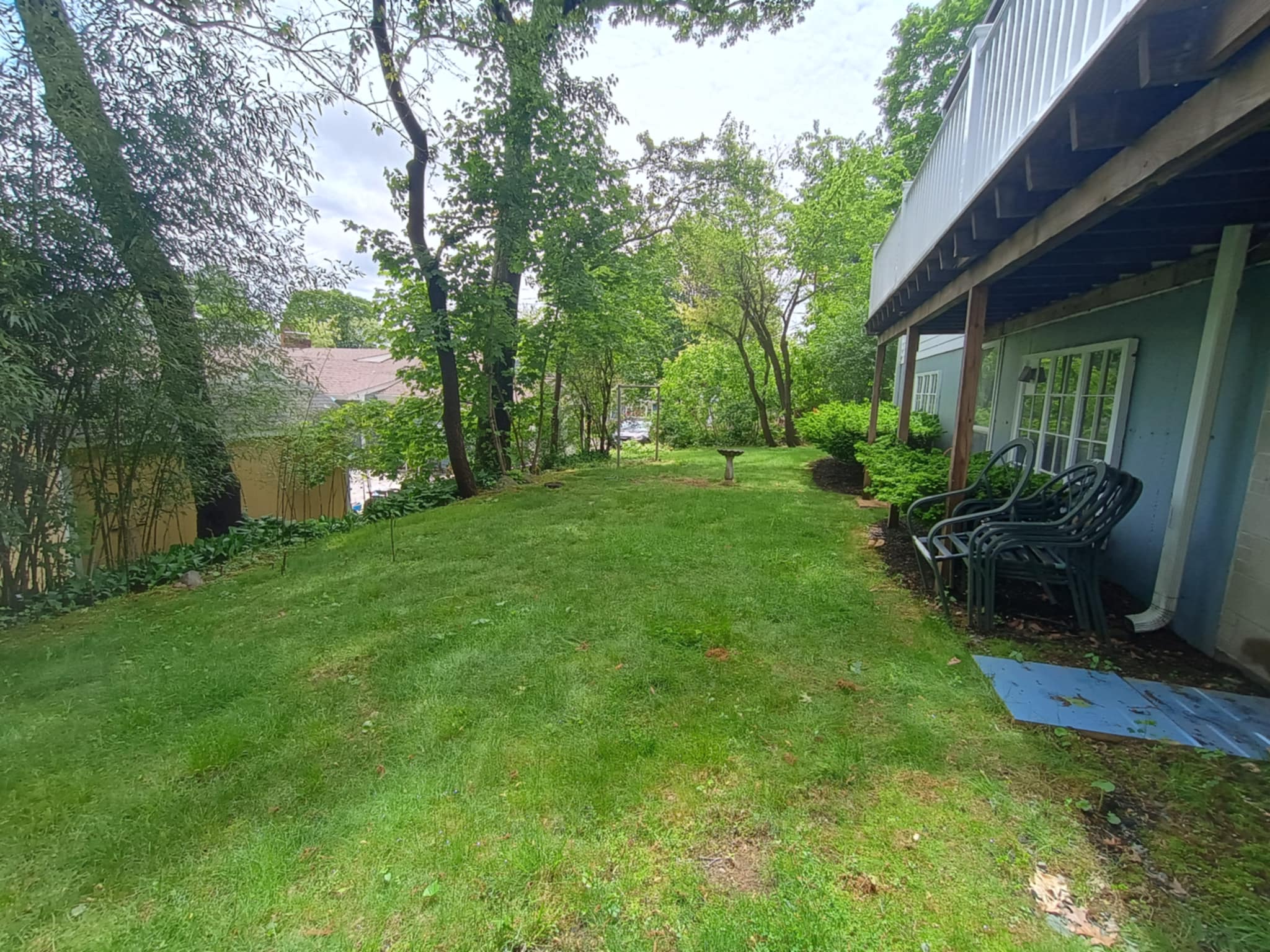 67 Cliffe Ave, Lexington