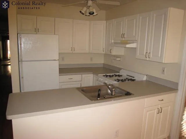 62 Egmont St, North Brookline