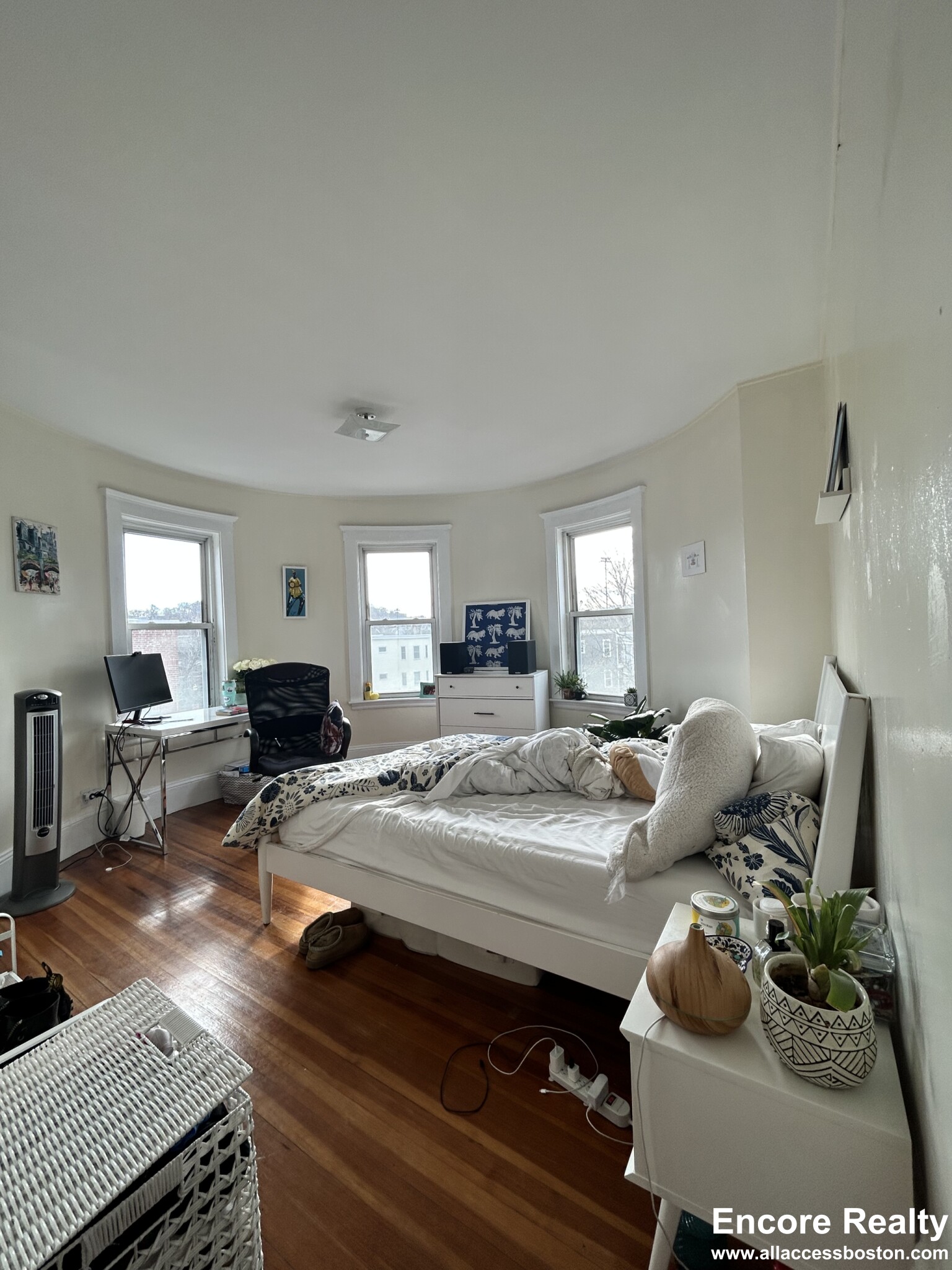 505 Washington St, Brighton