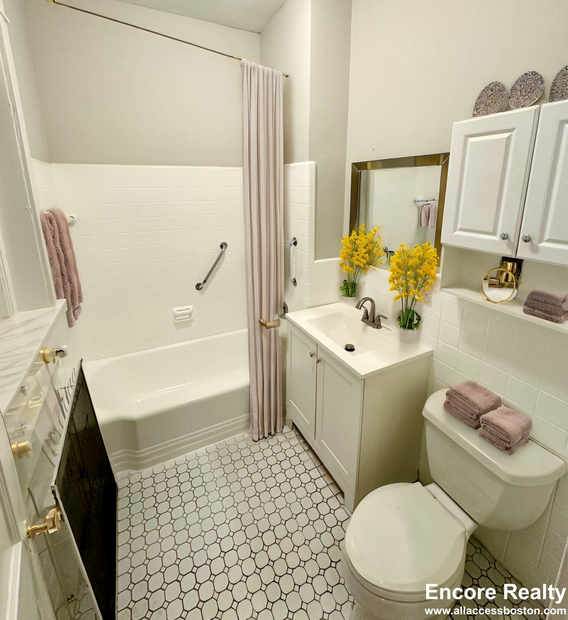 33 Stearns Rd, Coolidge Corner