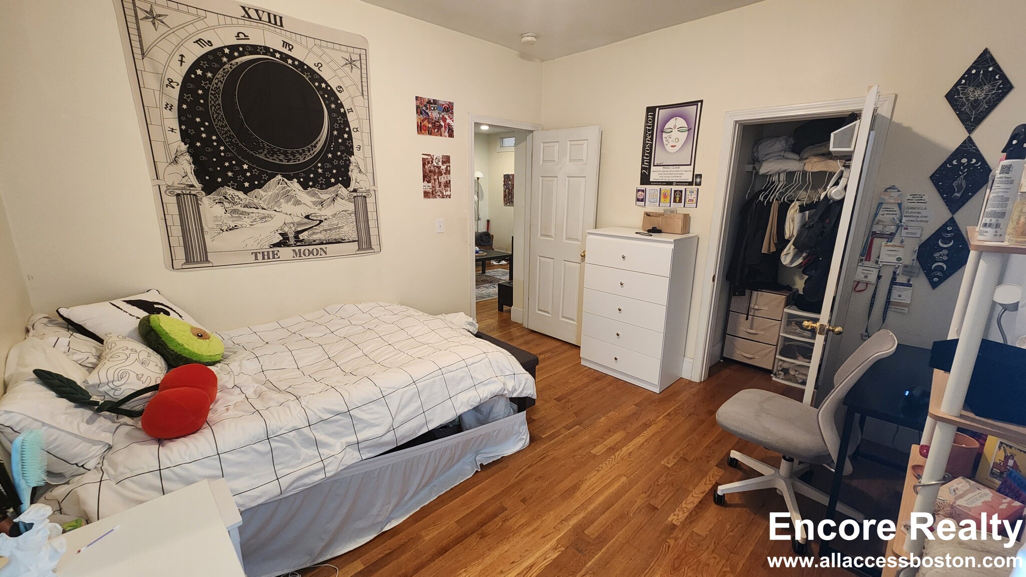 66 Egmont St, North Brookline