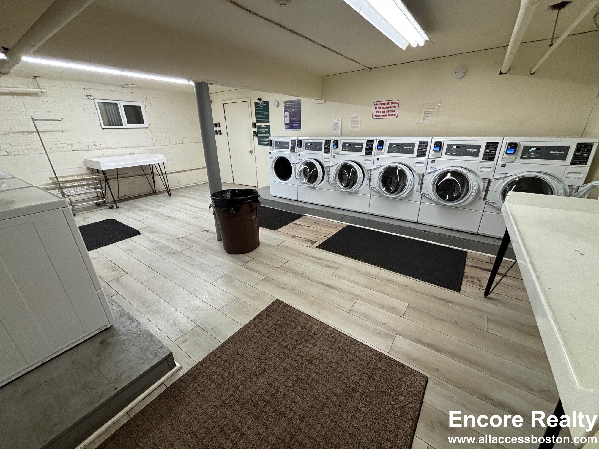 54 Egmont St, North Brookline