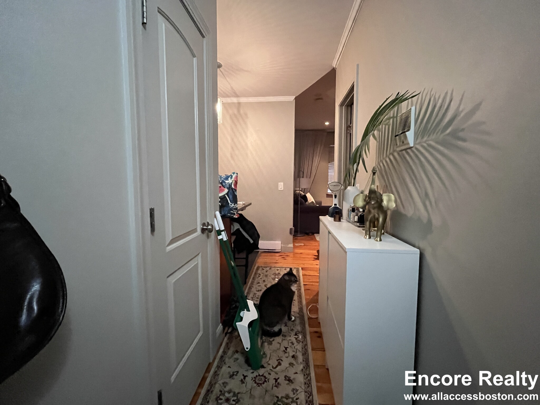 17 Garrison St, Back Bay