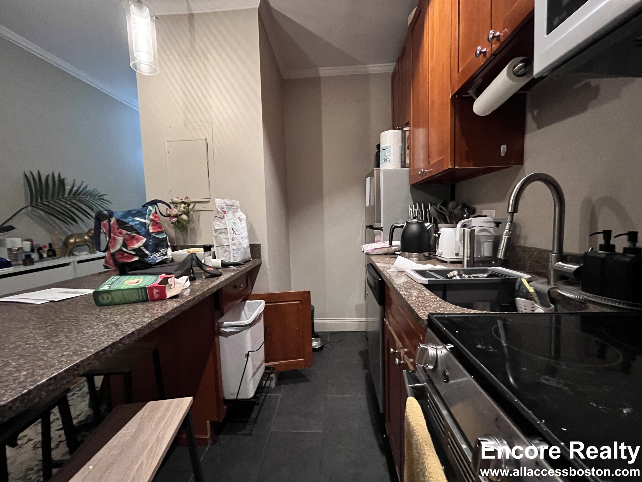 17 Garrison St, Back Bay