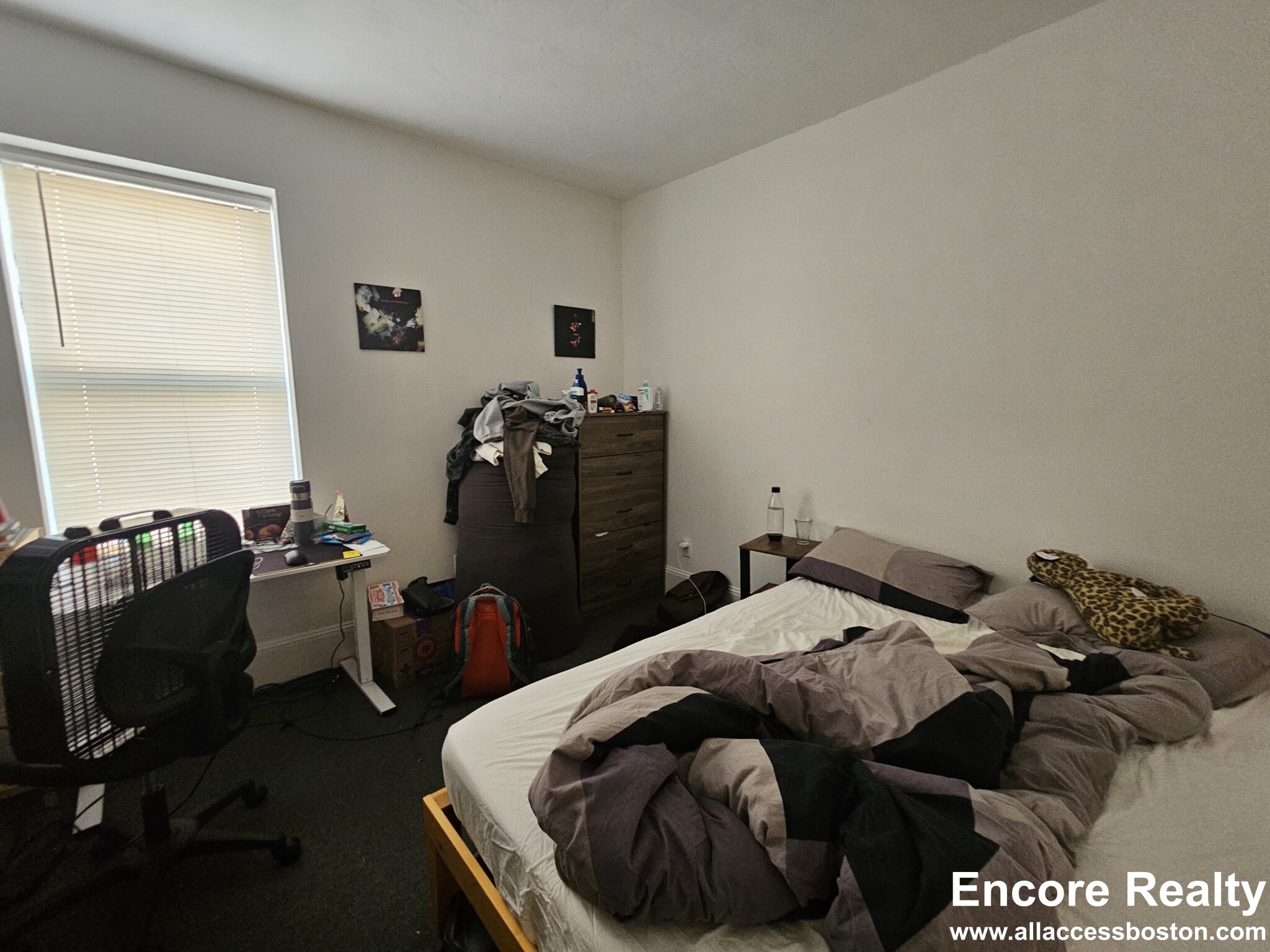 878 Huntington Ave, Mission Hill