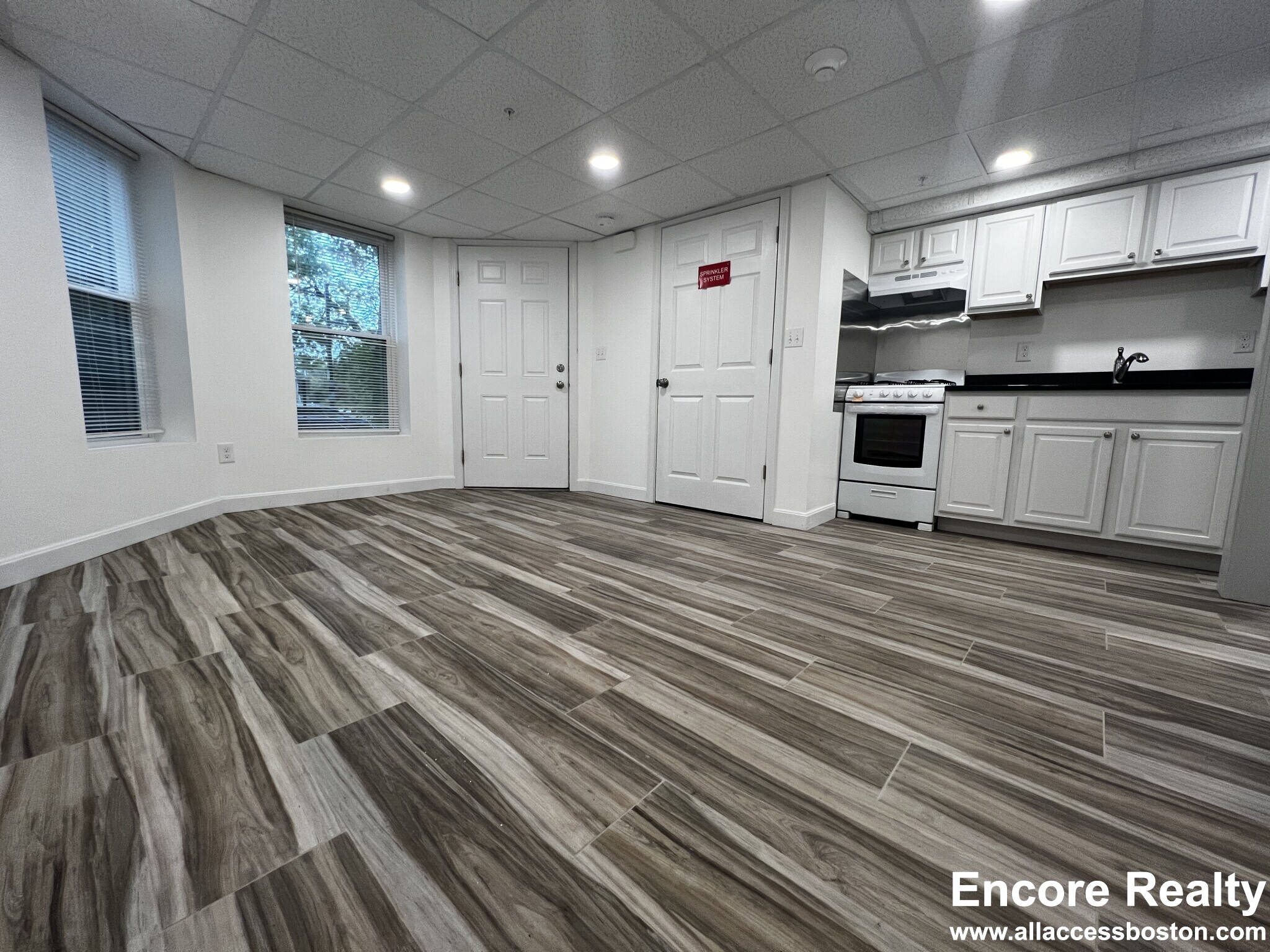 376 Riverway, Mission Hill