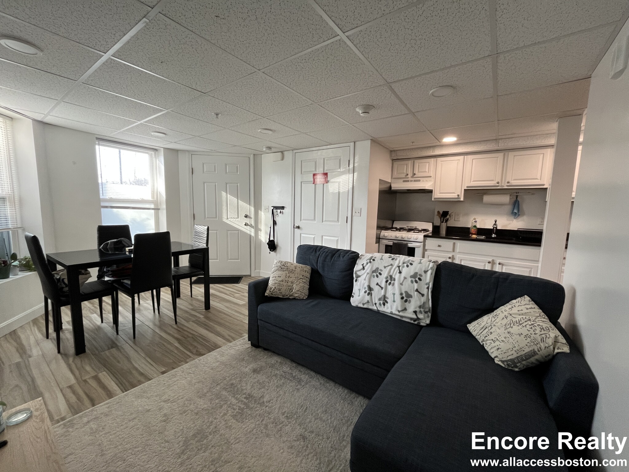 376 Riverway, Mission Hill