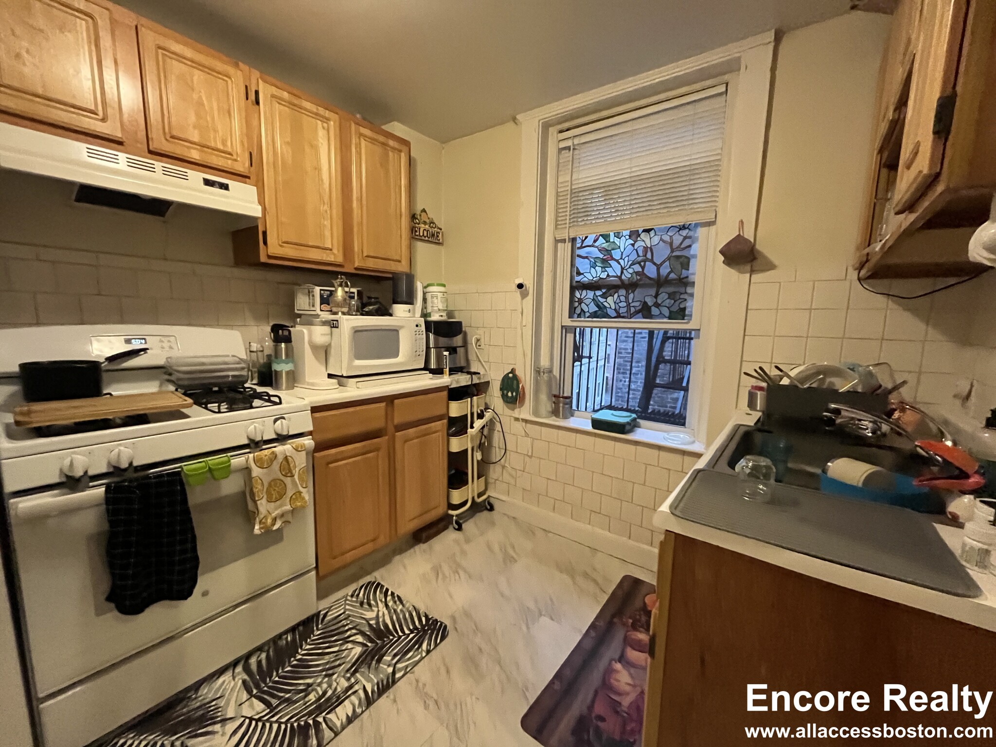 376 Riverway, Mission Hill