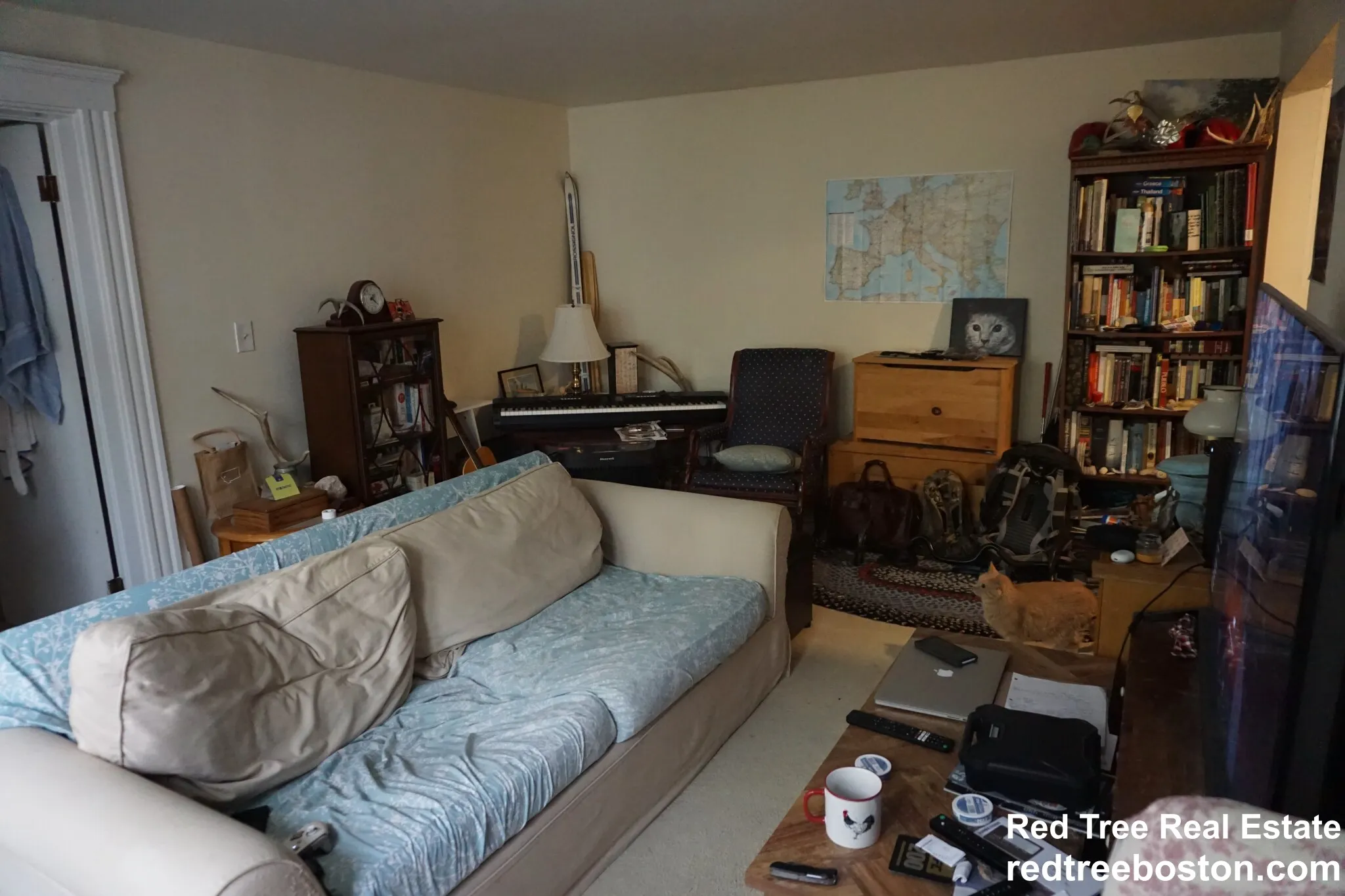 20 Colborne Rd, Brighton