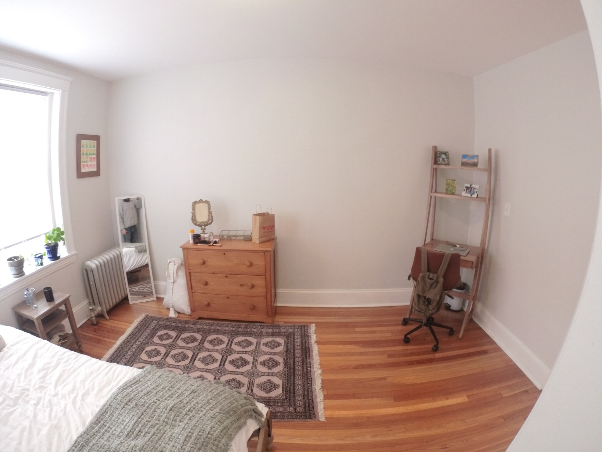 241 Freeman St, North Brookline