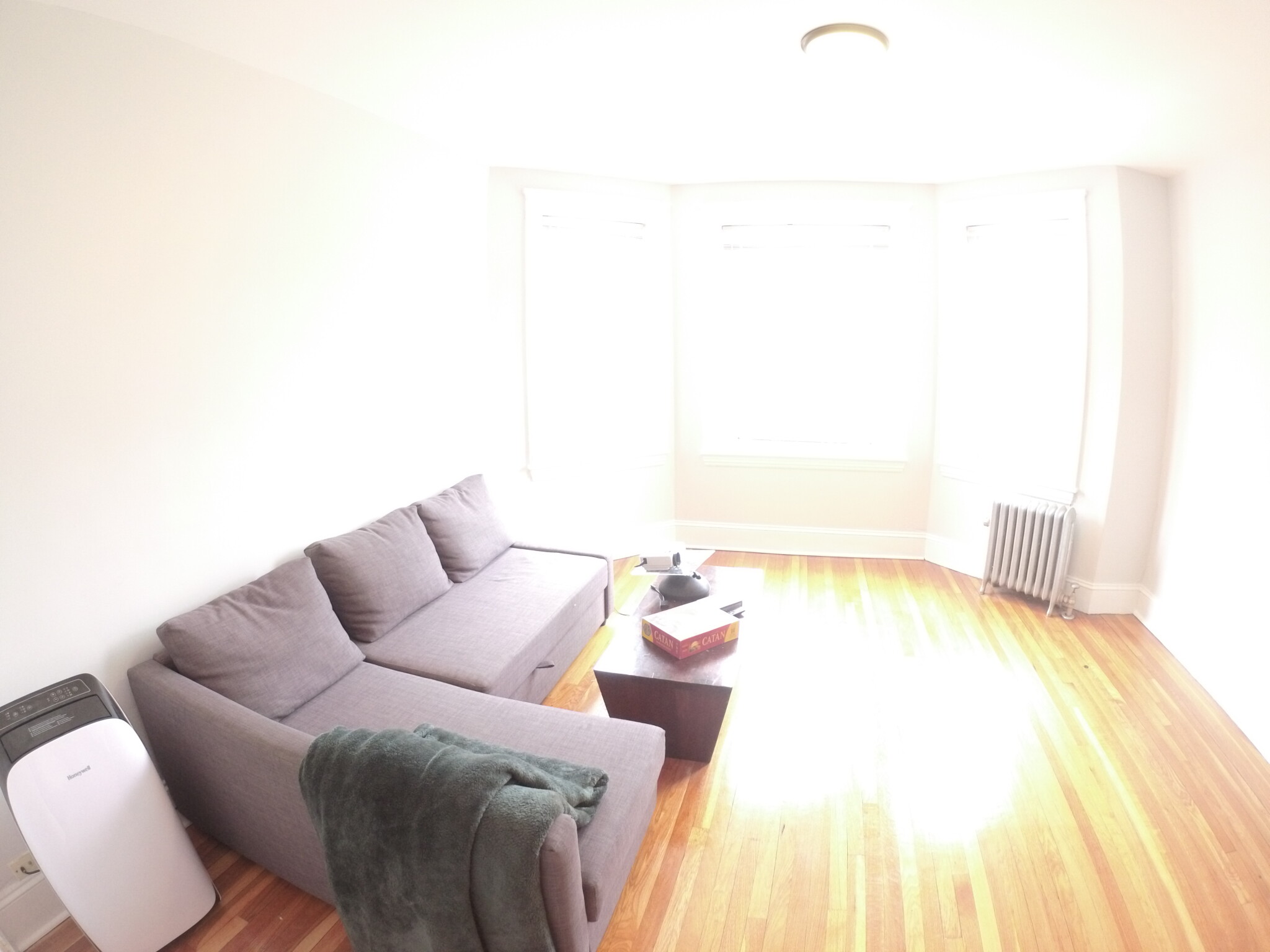 241 Freeman St, North Brookline