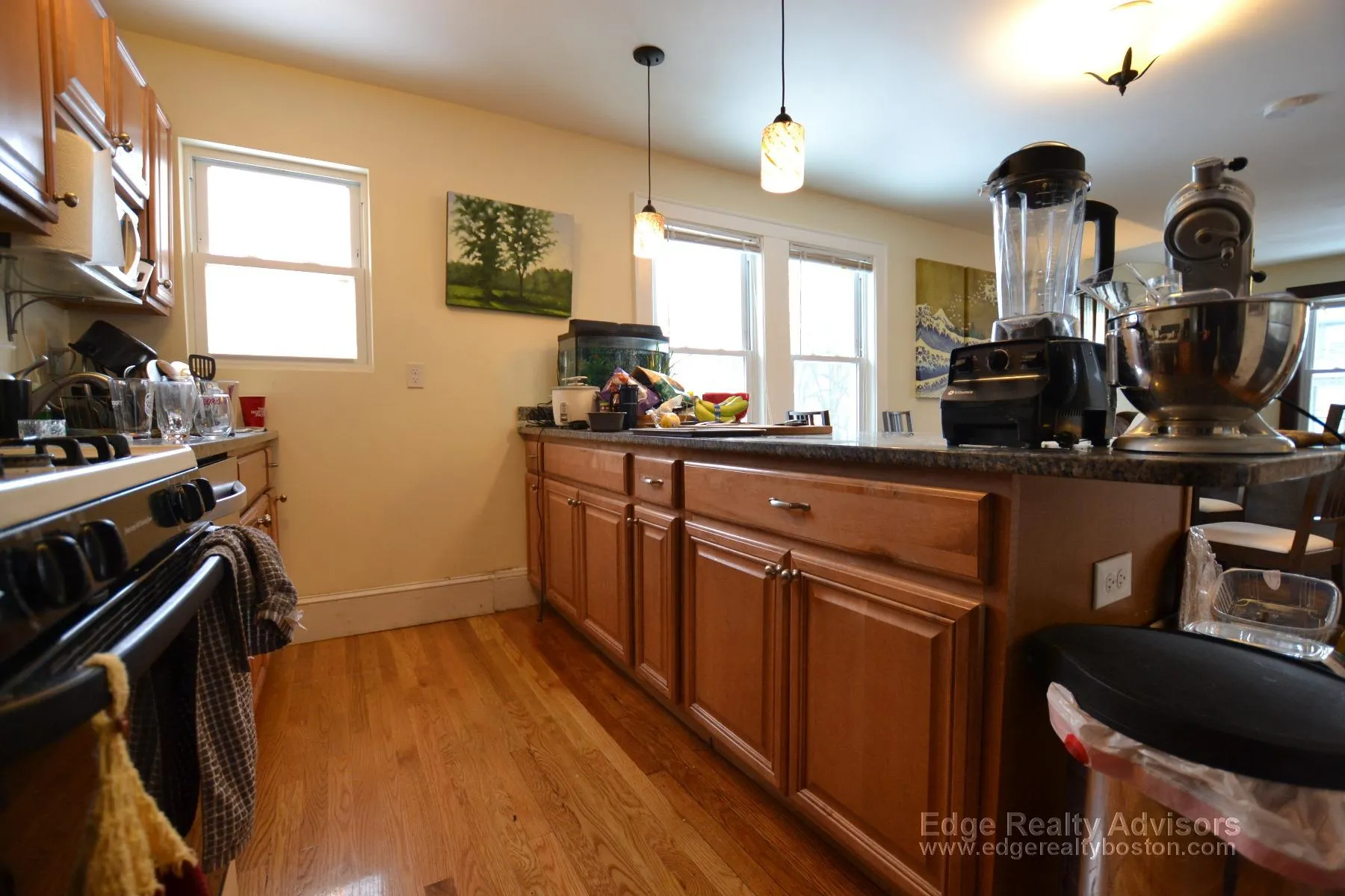 12 Donnybrook Rd, Brighton