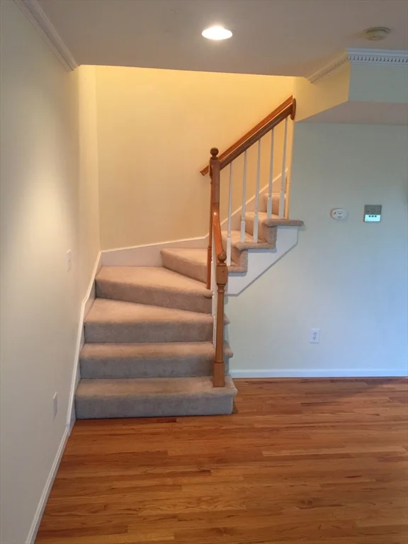 7 Conant Rd, Winchester