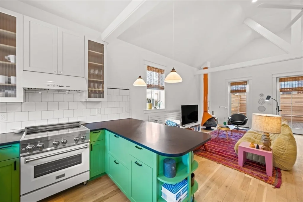 22 Mitchell St   Furnished, South Boston