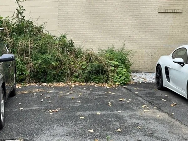 95 Allston St, Cambridgeport