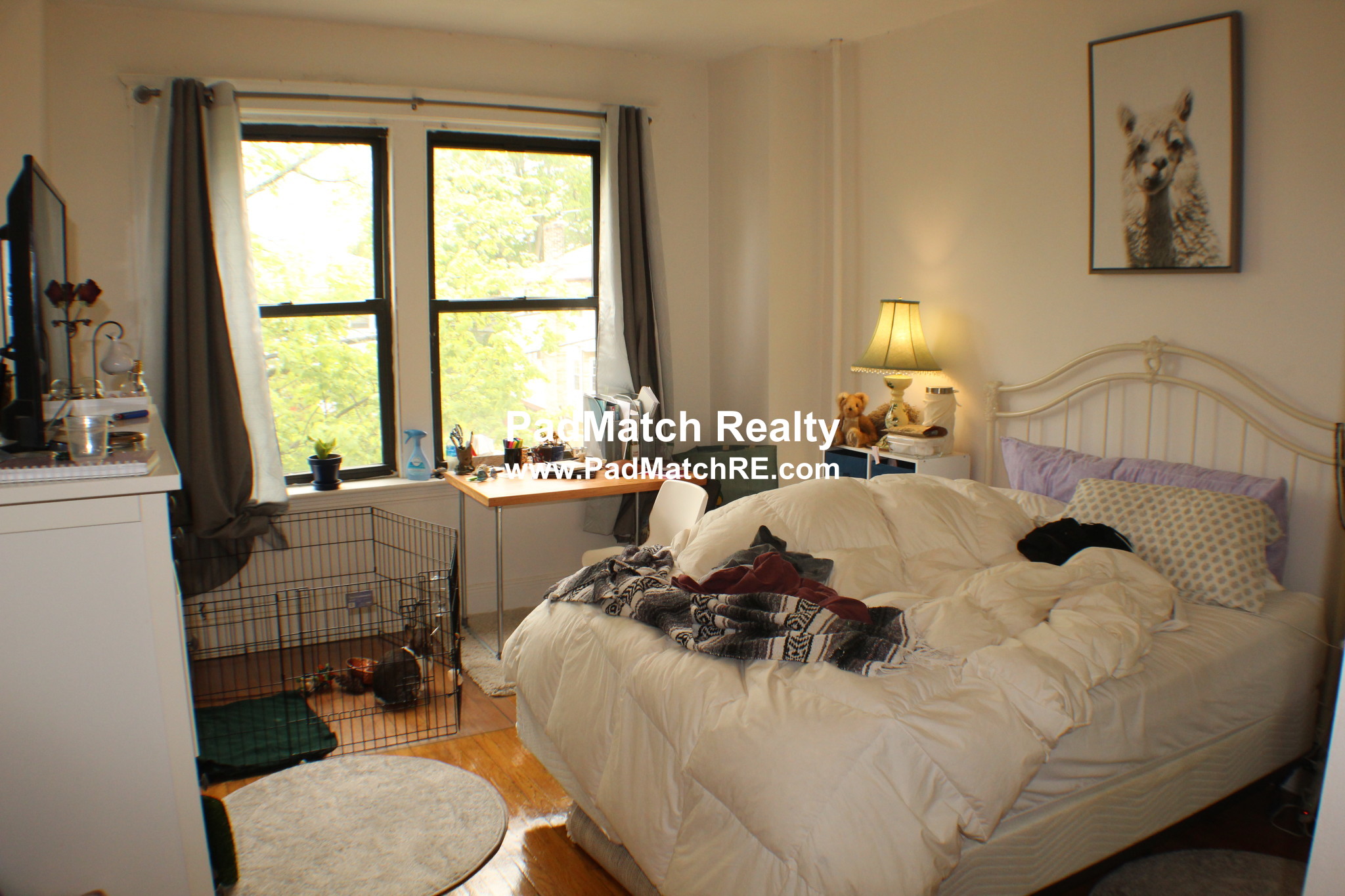 17 Cummings Rd, Brighton