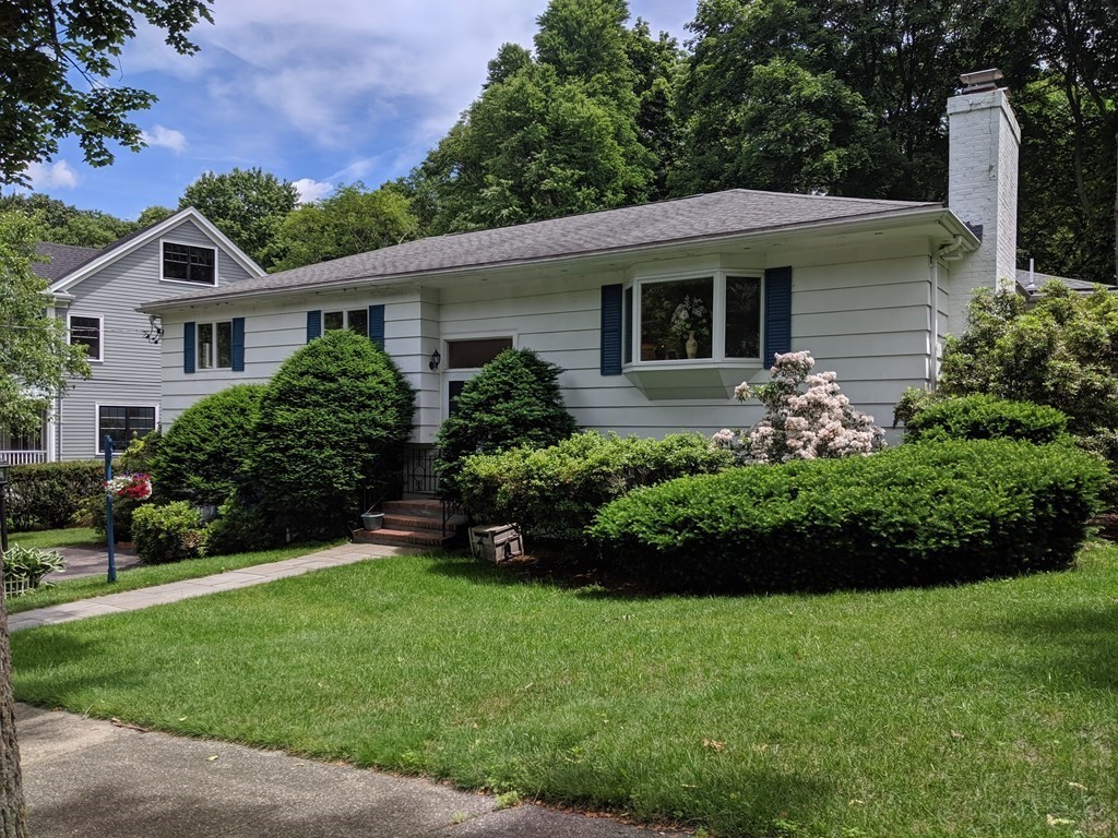 11 Renee Ter, Newton