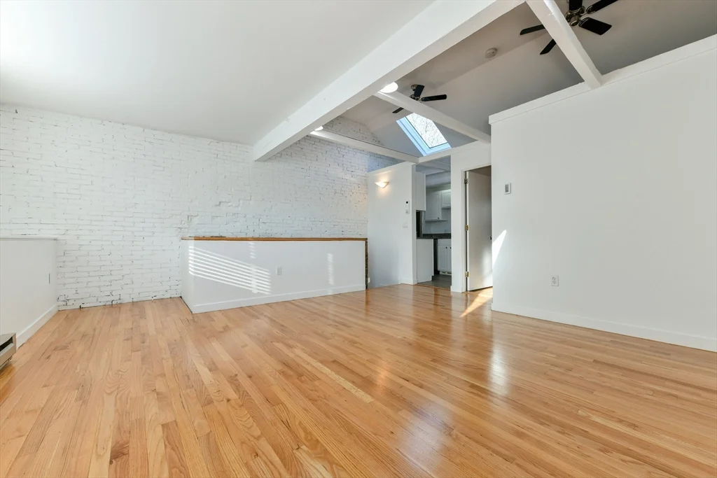 101 W Springfield St, South End