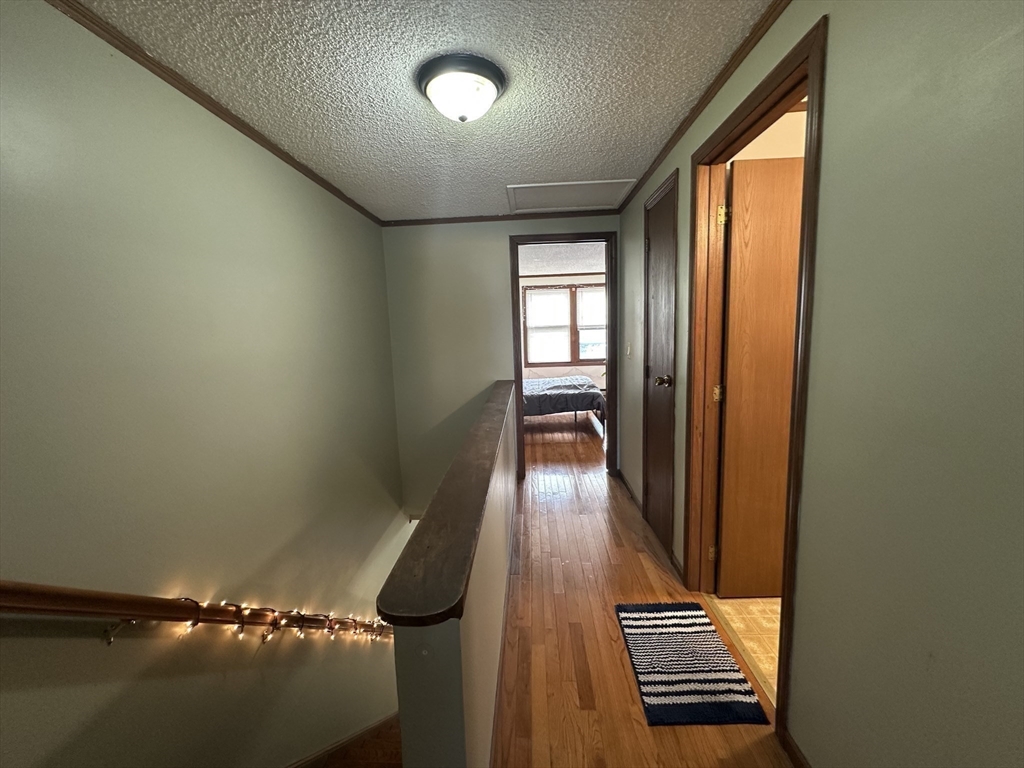 11 Myrtle St, Brickbottom-Inner Belt