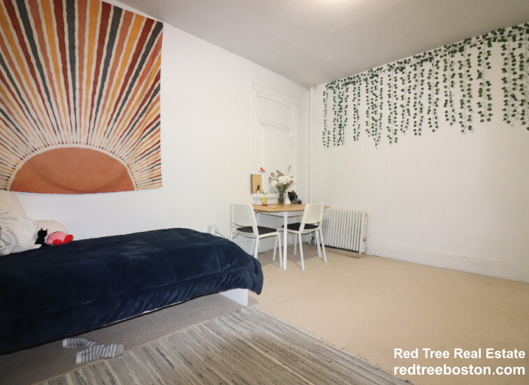 238 Hemenway St, Fenway