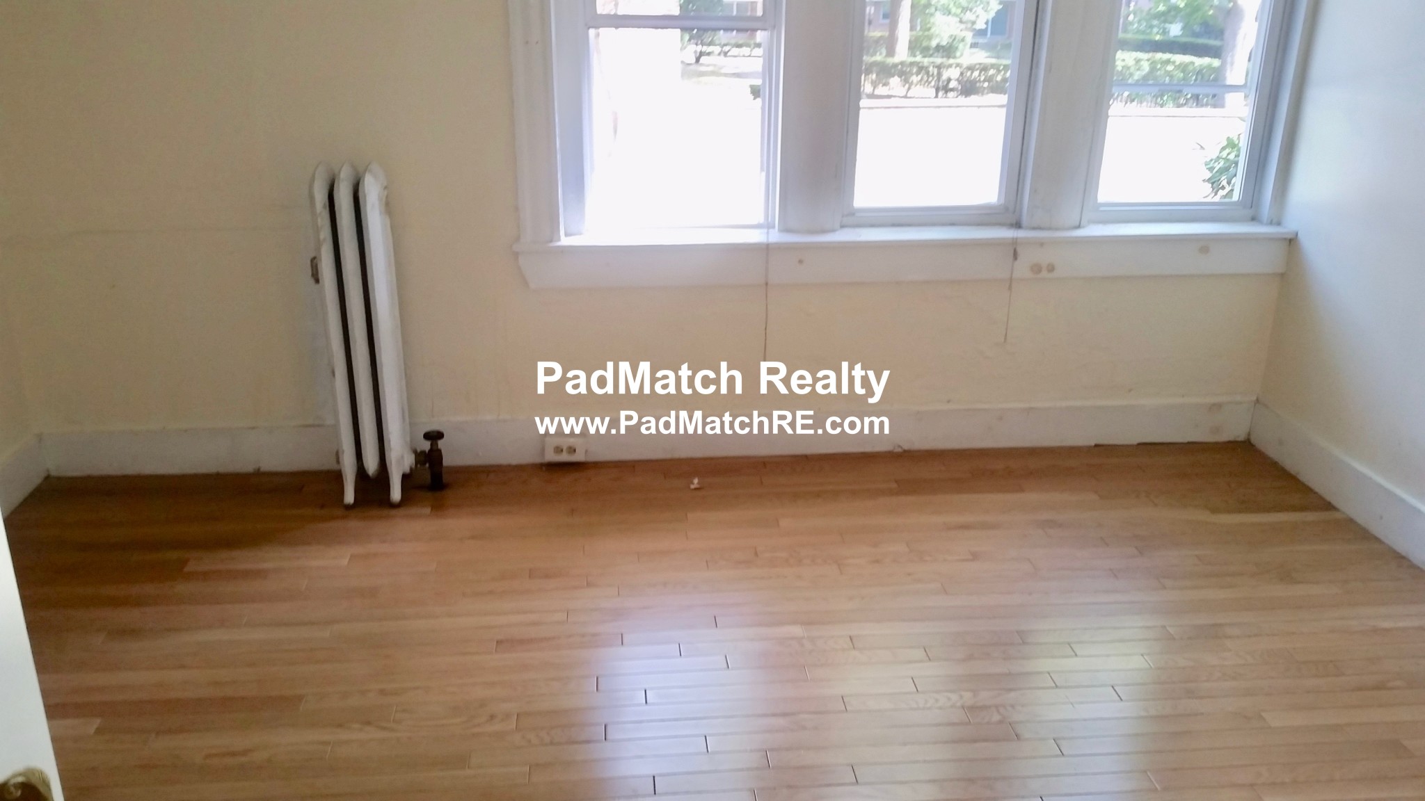 62 Egmont St, Longwood