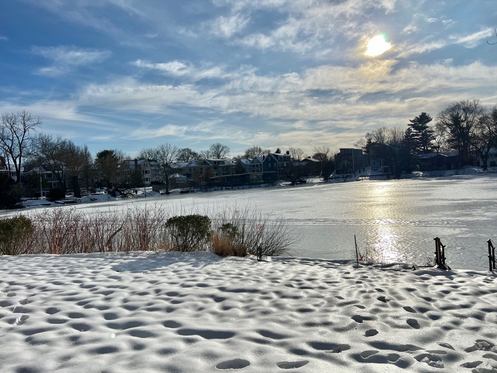 20 Hamilton Rd, Arlington