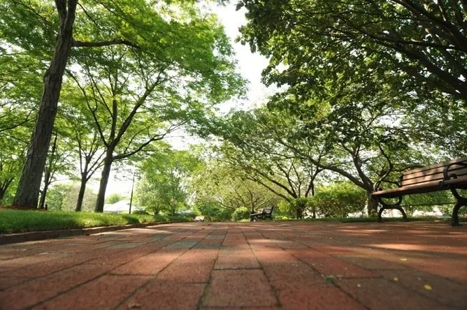 408 Sumner St, East Boston