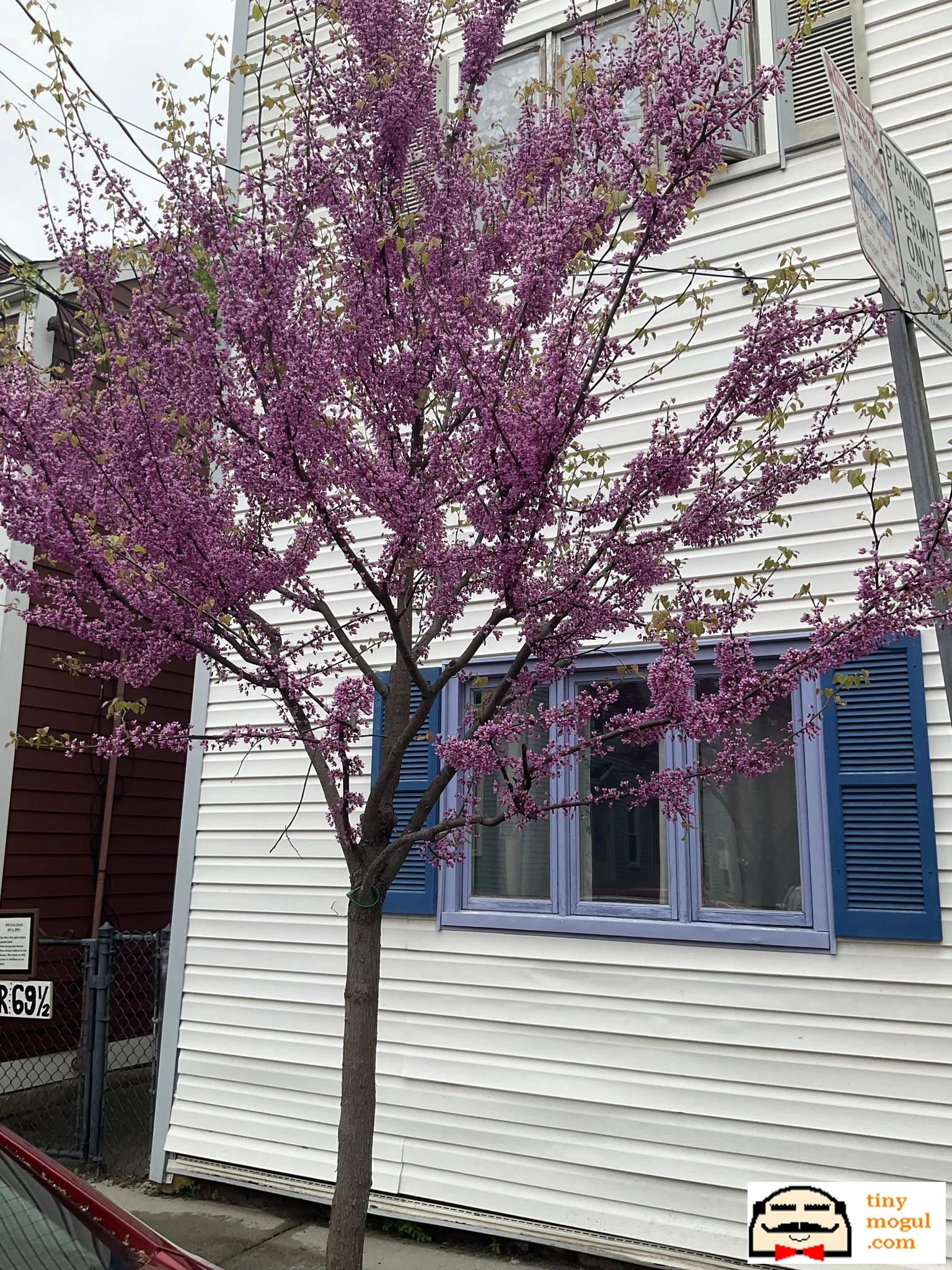 67 Gore St, East Cambridge