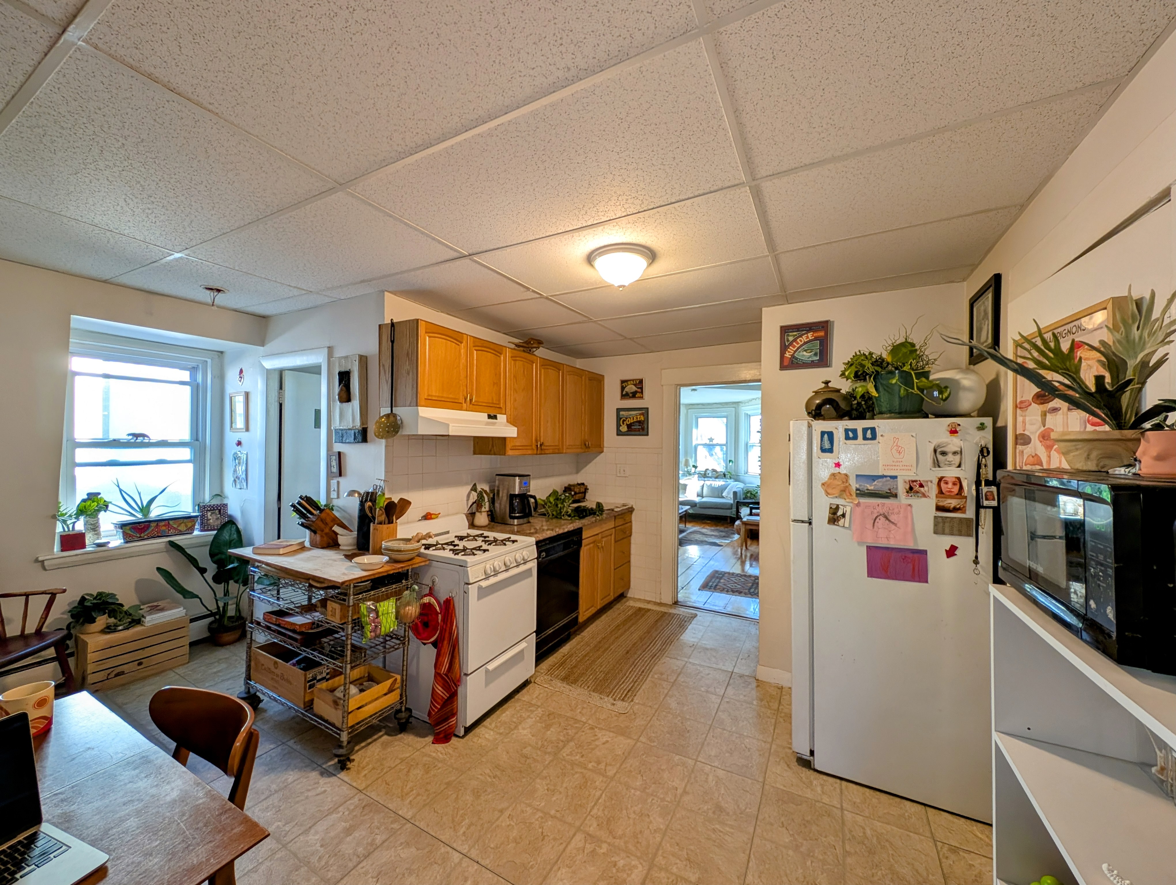 379 Windsor St, Wellington-Harrington