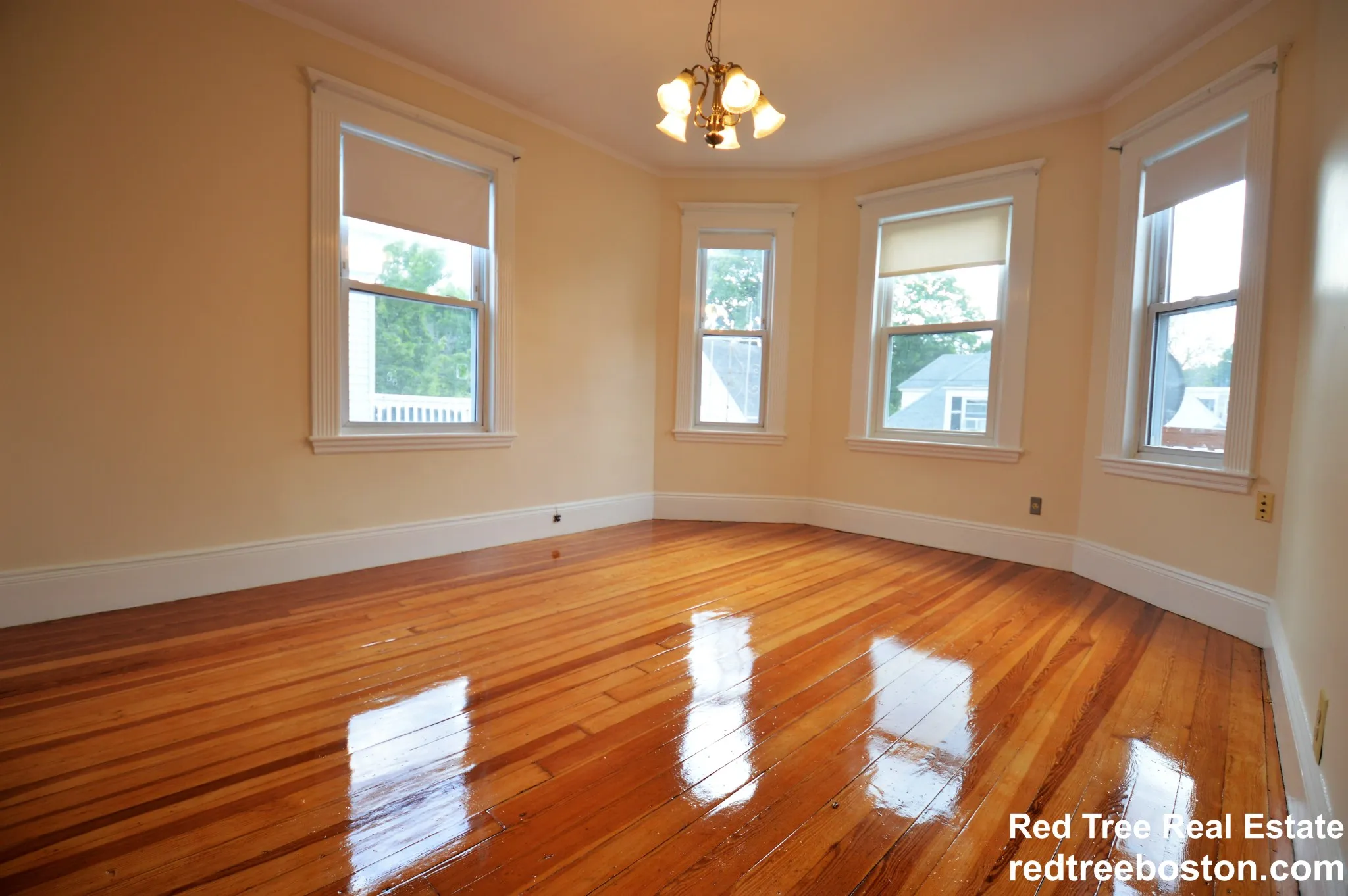 39 Montfern Ave, Brighton