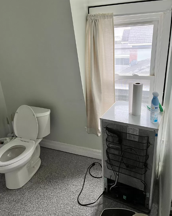 20 Thorpe St, Prospect Hill