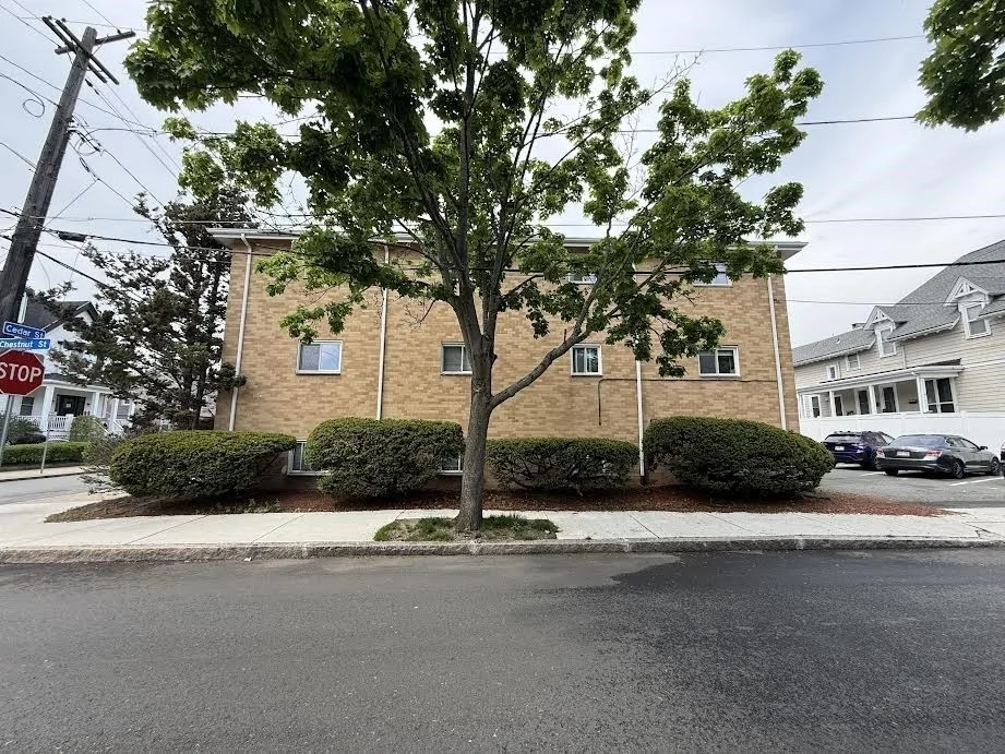 87 Cedar St, Malden