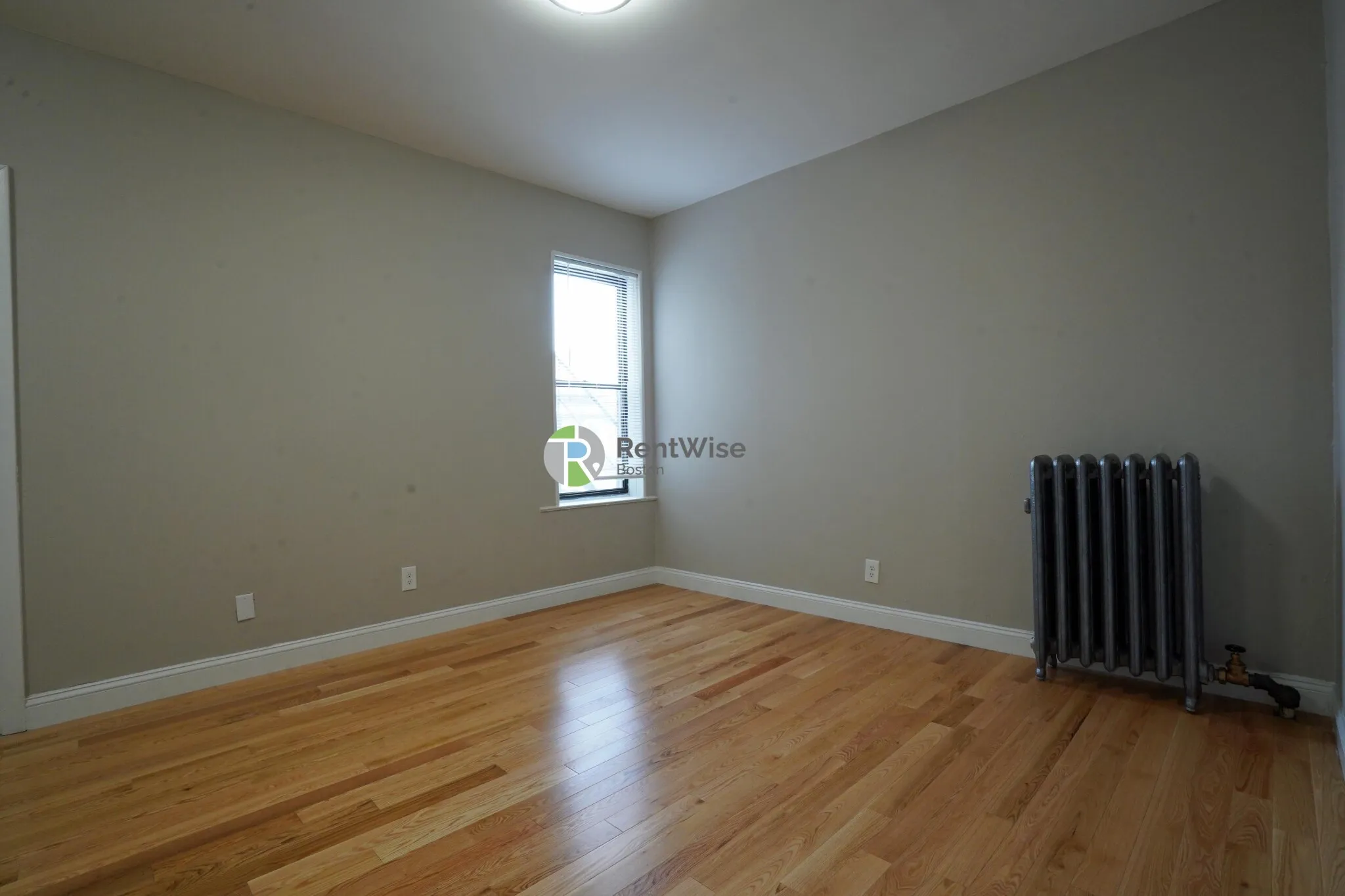 50 Park Vale Ave, Allston