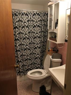 55 Cedar St, Spring Hill