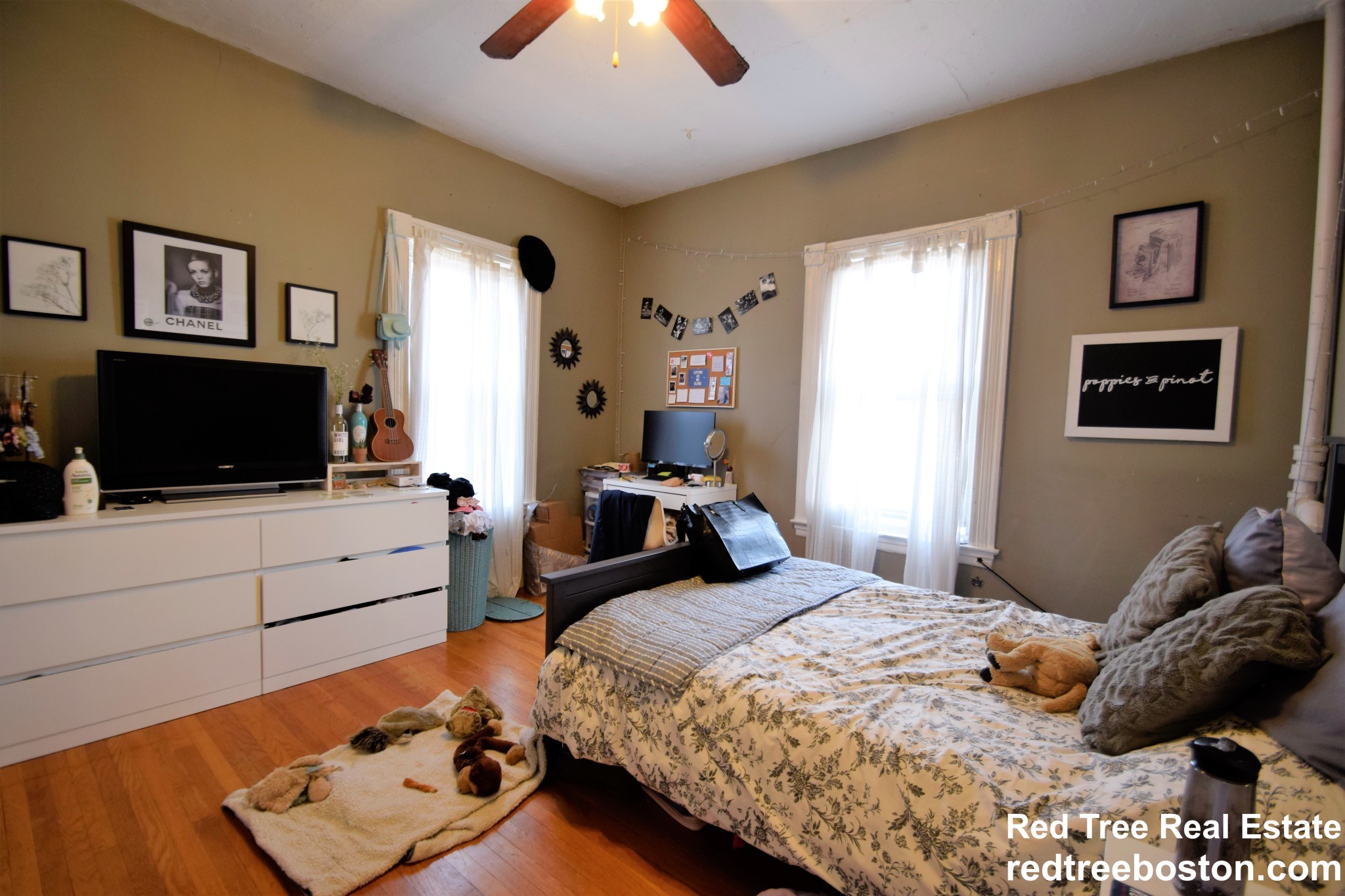 3 Foster St, Brighton