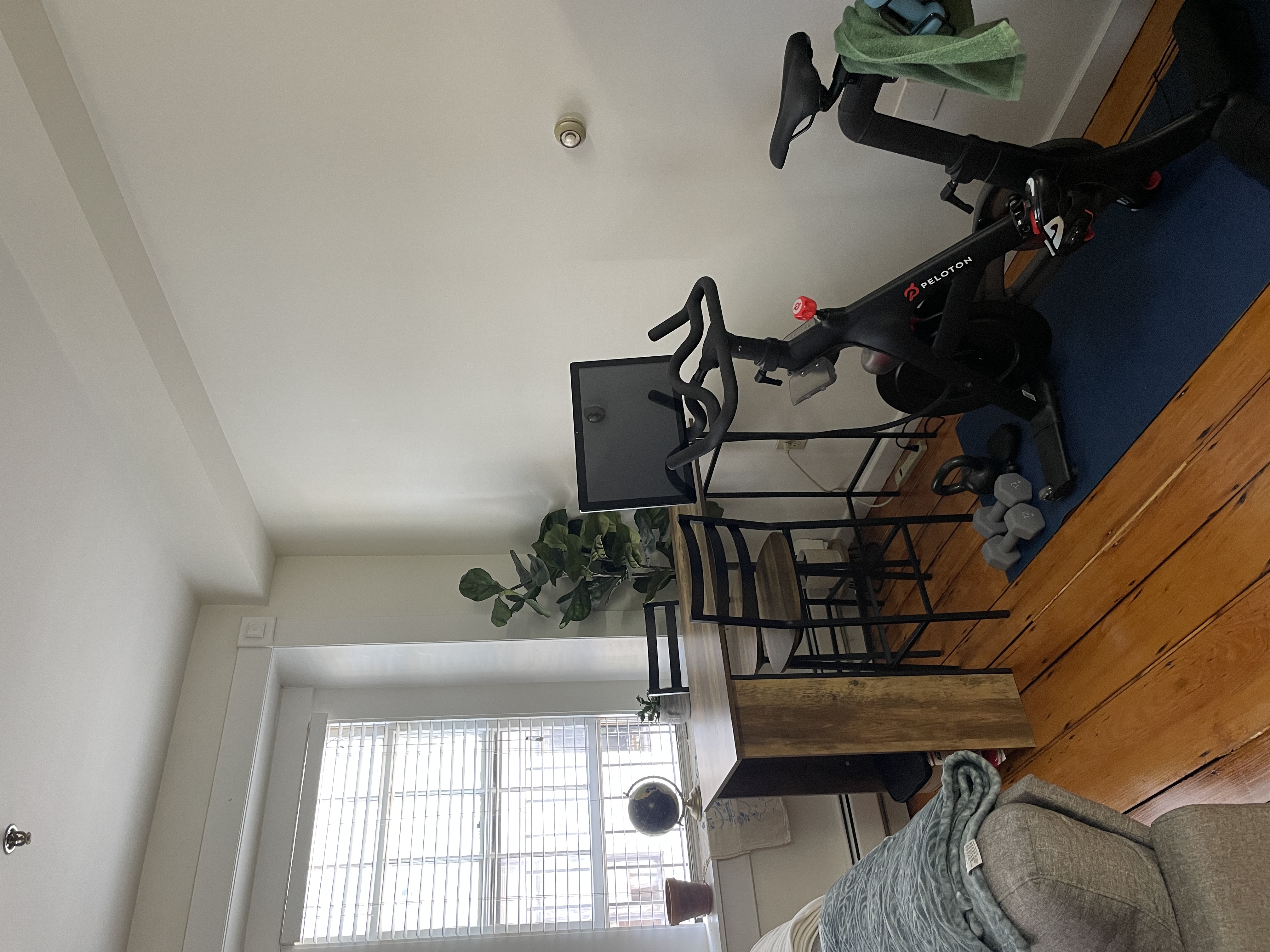 1 bed, 1 bath apartment for rent at 63 Hancock St Unit 3F, Beacon Hill — photo 5 of 22