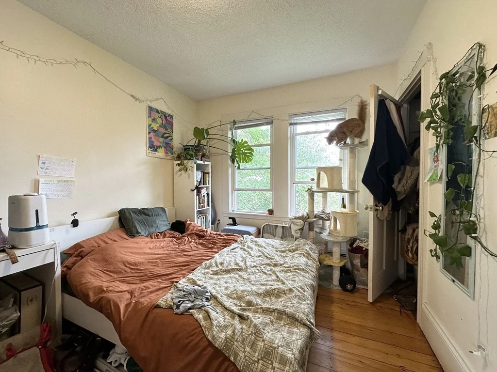 146 Webster Ave, Kendall Square